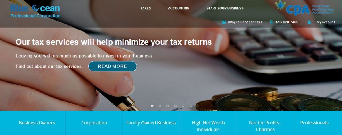Blue Ocean Accounting and Tax services in Toronto